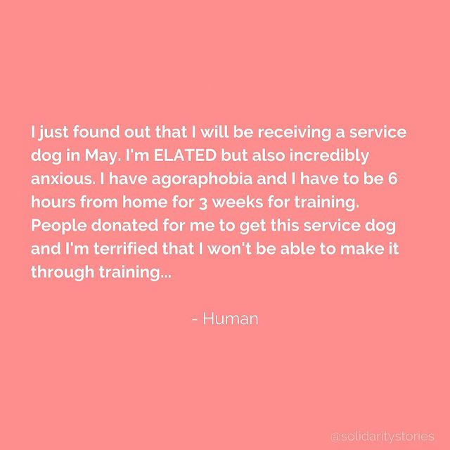 I just found out that I will be receiving a service dog in May.